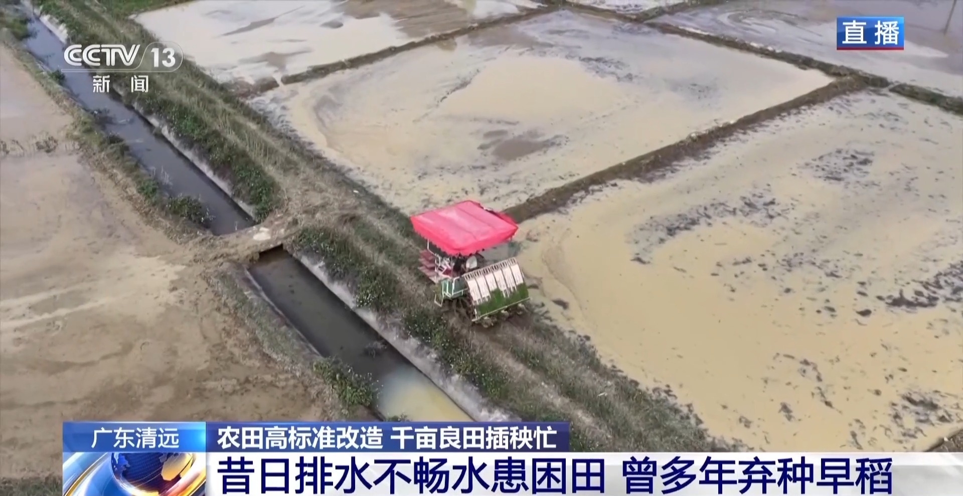  从“水患困田”到“千亩连片” 井塘村这片稻田如何实现华丽转身？