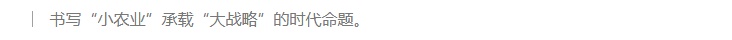 乡村振兴，向科技要产量向创新要未来
