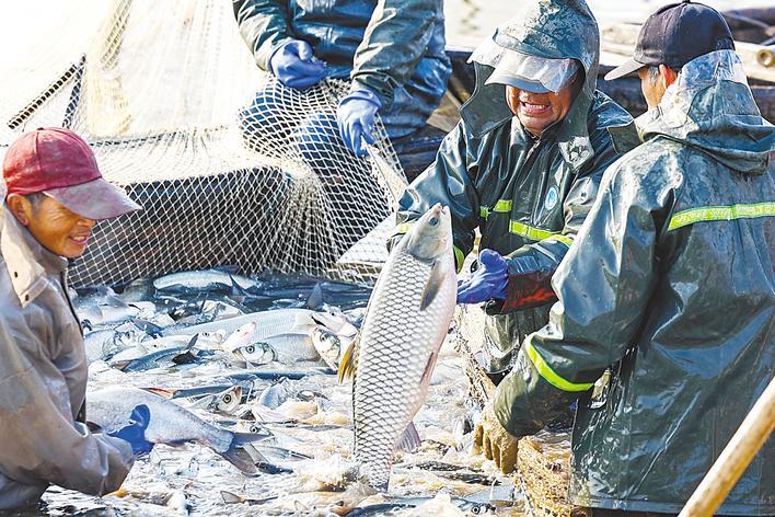 靠资源“有鱼吃” 靠科技“吃好鱼” 湖北淡水产品总量连续30年居全国第一