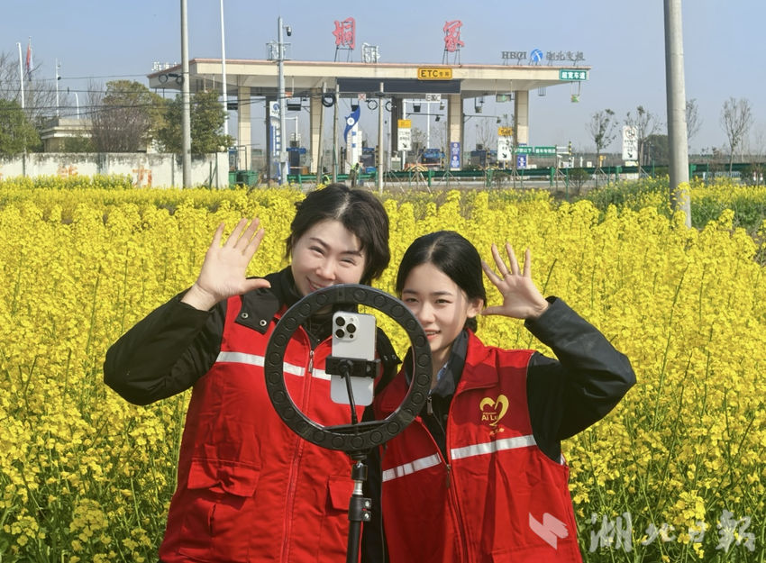  菜花遍地春光好 直播赋能乡村游