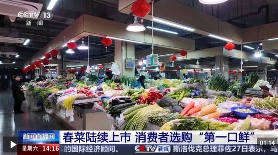  视频丨春菜陆续上市 消费者选购“第一口鲜”
