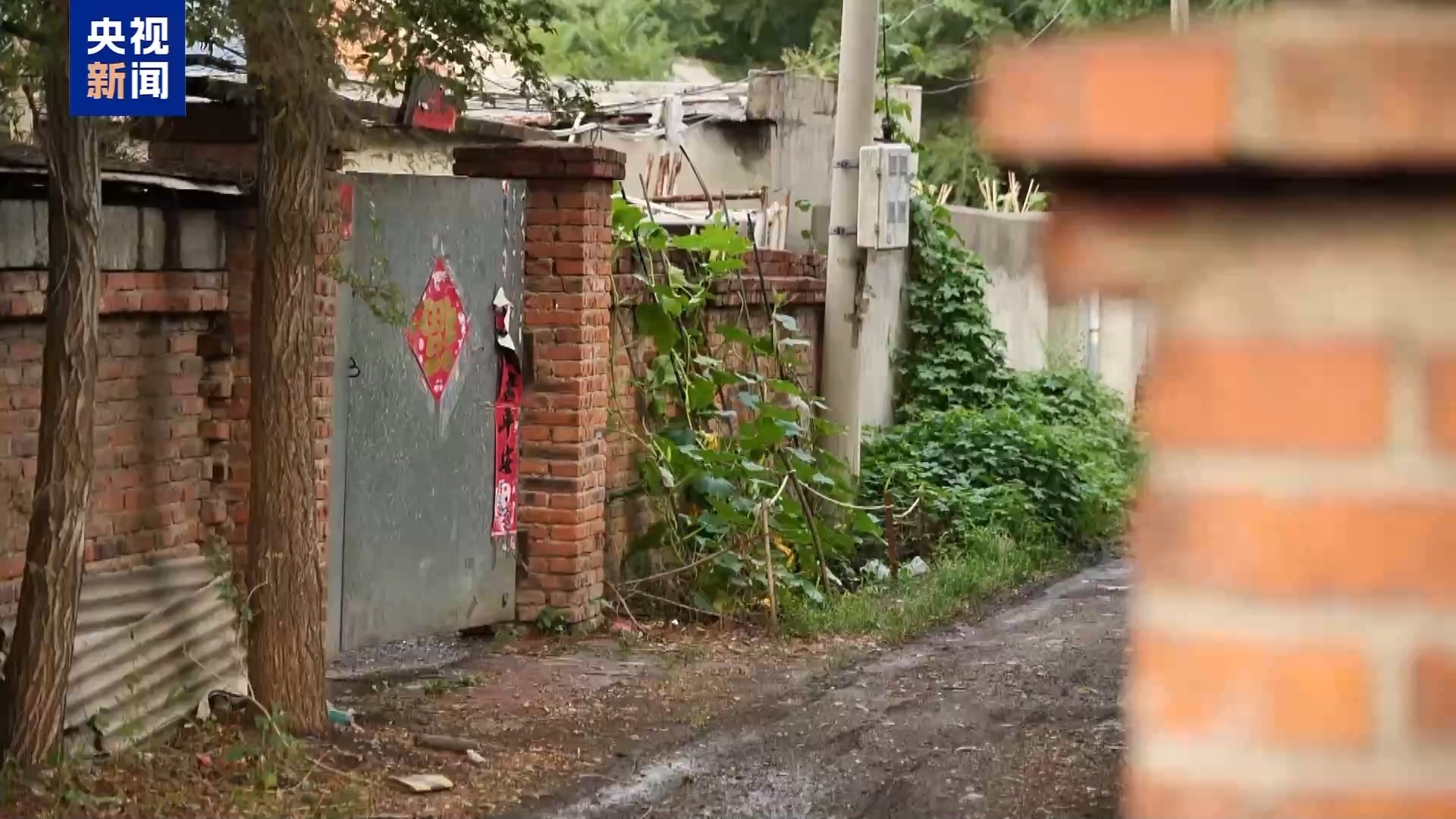  法治在线丨寻子17年终团聚 科技赋能照亮团圆路