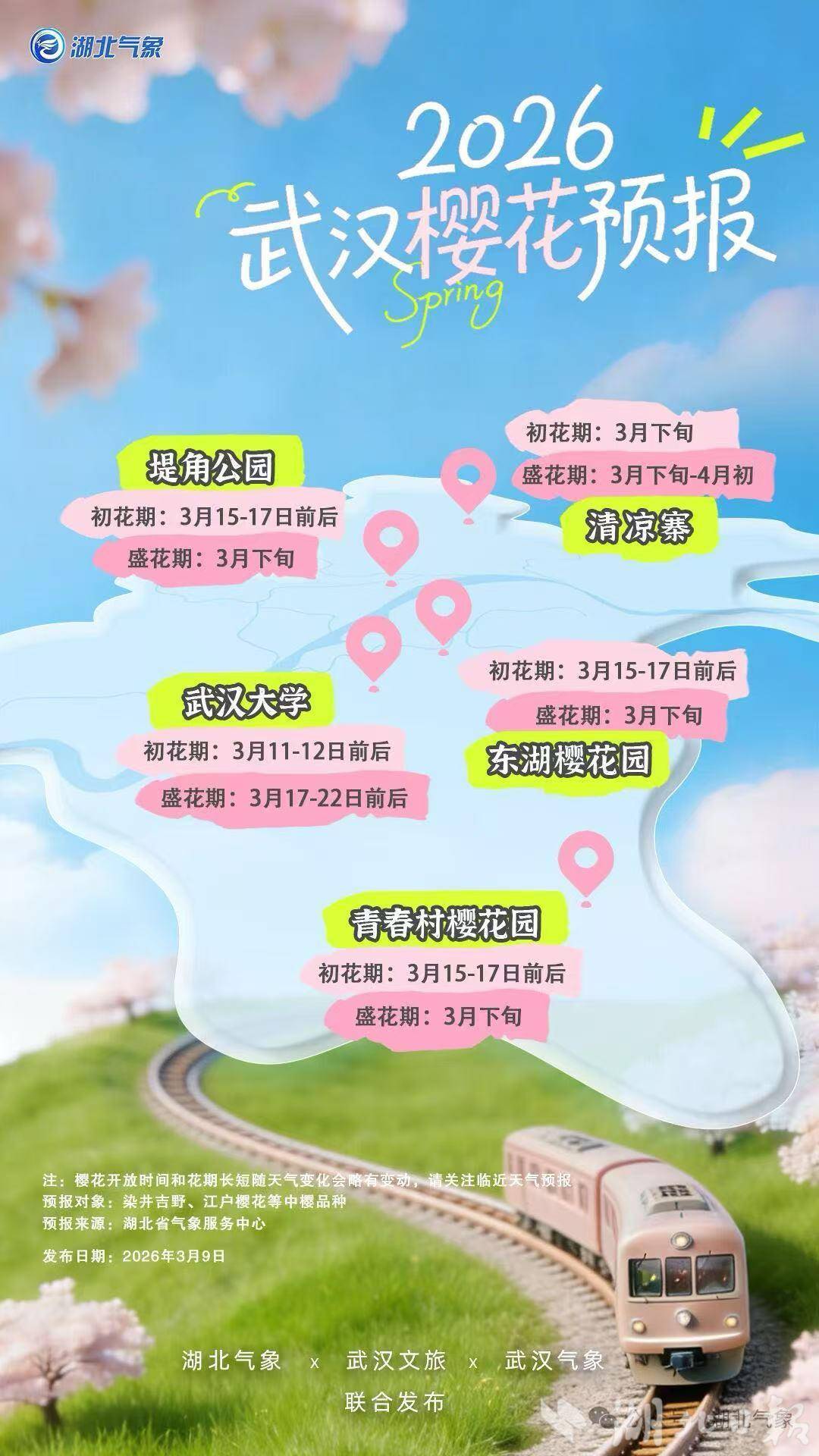  权威预报！2026武汉樱花最美时间定了