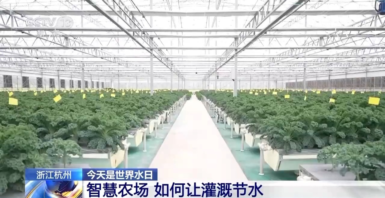  从智慧农场到AI节水课堂 浙江这样做好“点滴”事