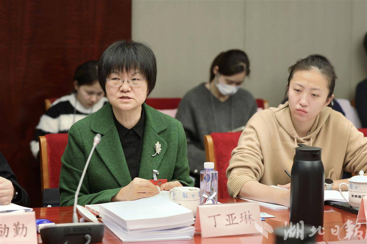 住鄂全国政协委员参加小组会议