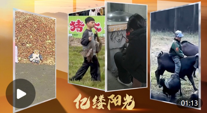 亿缕阳光·乡见｜快乐很简单