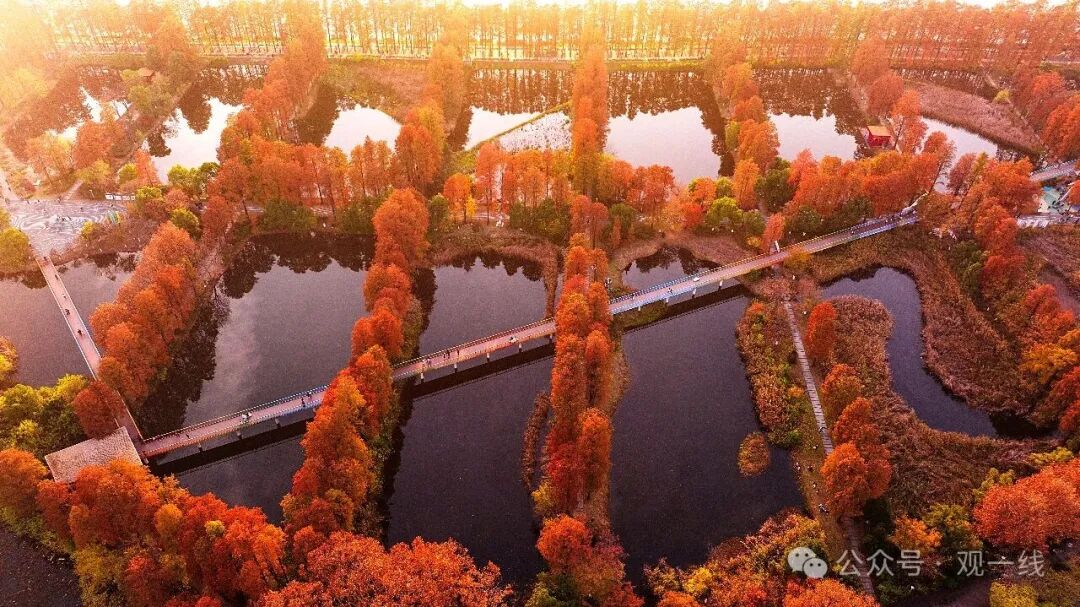 640?wx_fmt=jpeg&from=appmsg&watermark=1&&wxfrom=5&wx_lazy=1#imgI