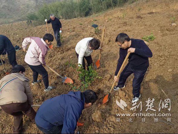 荆门市东宝区人大代表泉口小组持续筑牢城北生态屏障
