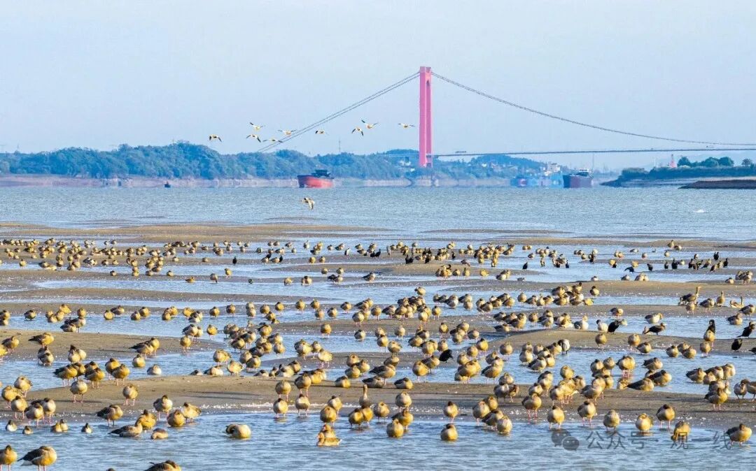 640?wx_fmt=jpeg&from=appmsg&watermark=1&&wxfrom=5&wx_lazy=1#imgI