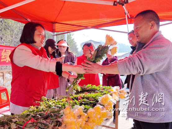 京山市：文明祭祀护青山 绿色追思润清明