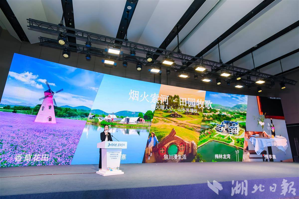 签约项目总投资额达418亿元蔡甸文旅消费季动能强劲(图2)