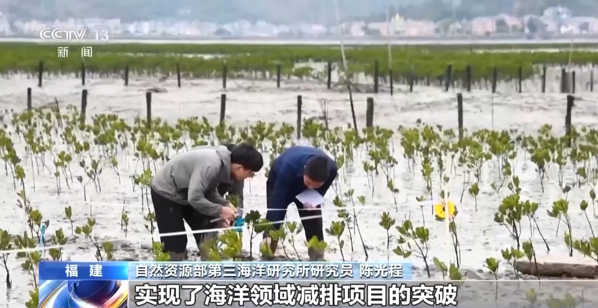 全国首个海洋领域温室气体减排项目落地