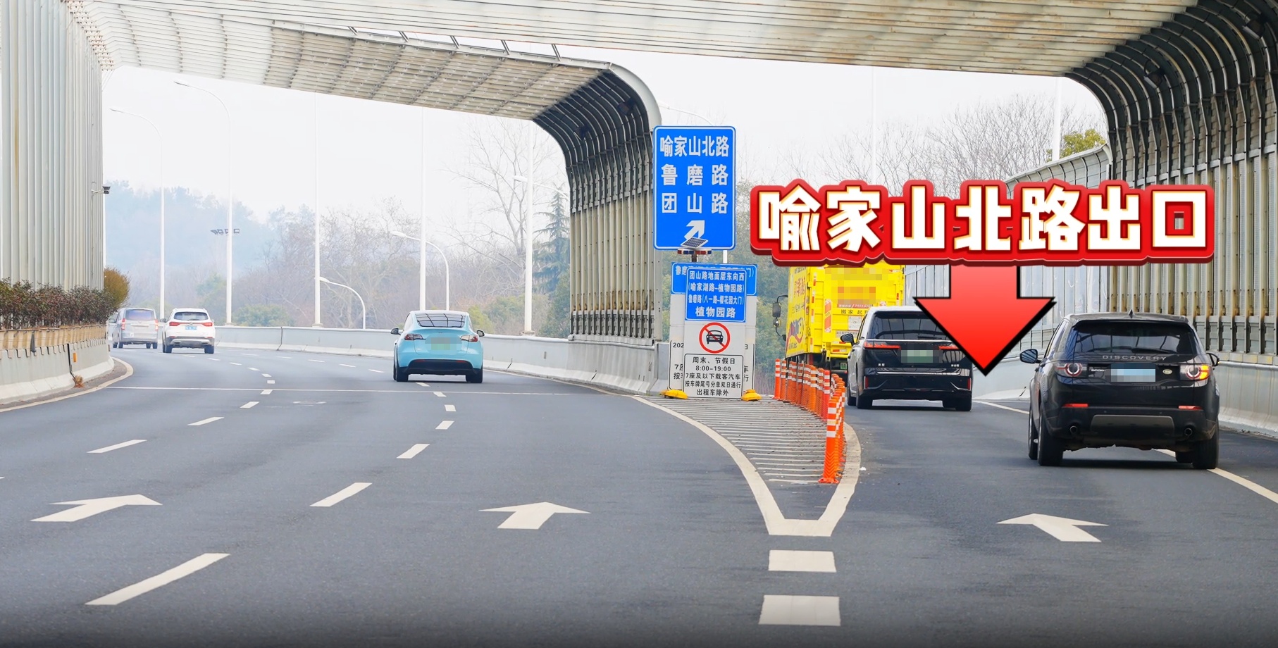  武汉东湖交警发布赏花季重点出行指南