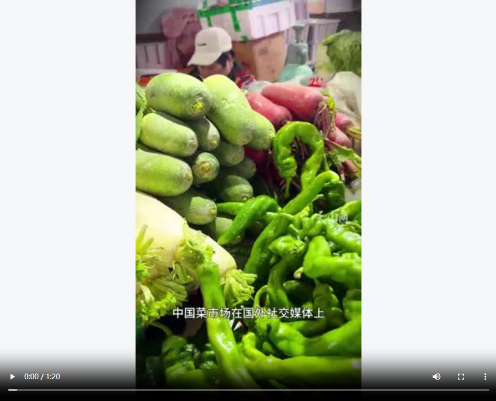 阿达西说事丨外网刷屏的中国菜市场：一蔬一饭，藏着最真实的中国