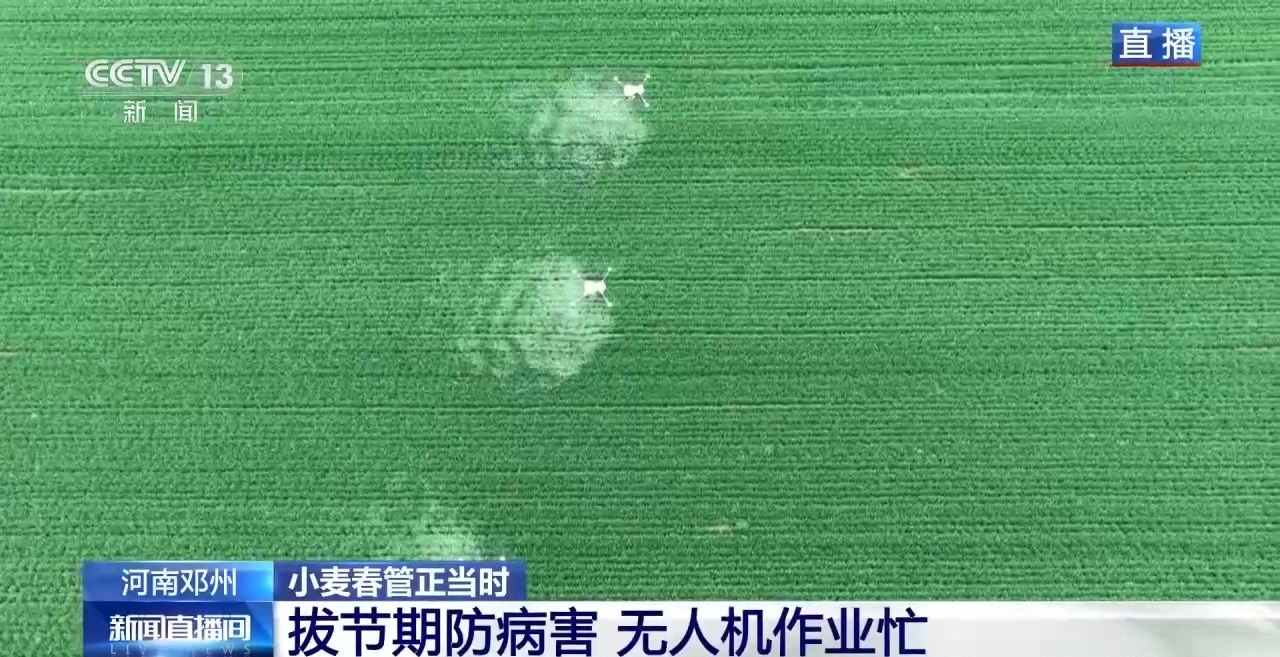 “靠天吃饭”→“知天而作” 科技助力小麦春管关键期
