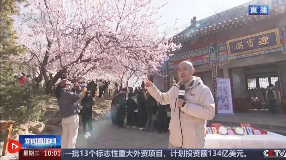 “赏花经济”激活新消费场景 “农文旅”融合让特色产业成为乡村振兴新引擎