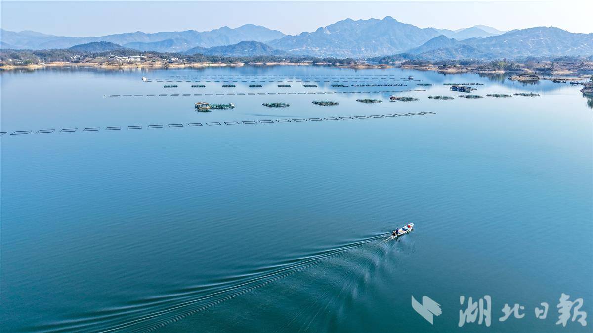 生态养殖绘就水乡振兴新画卷