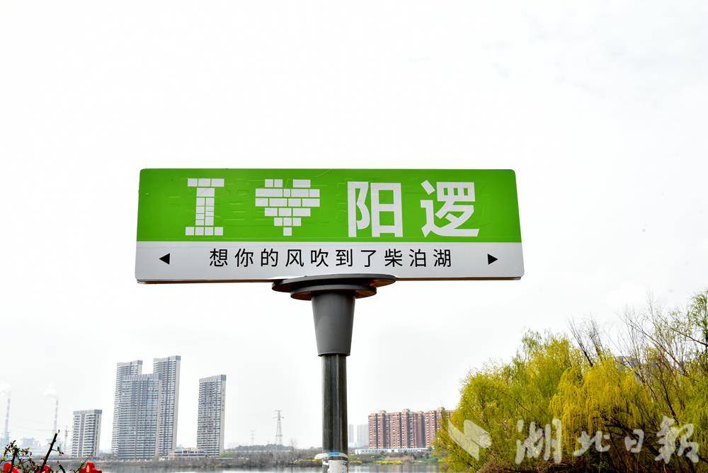 荒地变绿肺！长江新区再添沿湖口袋公园