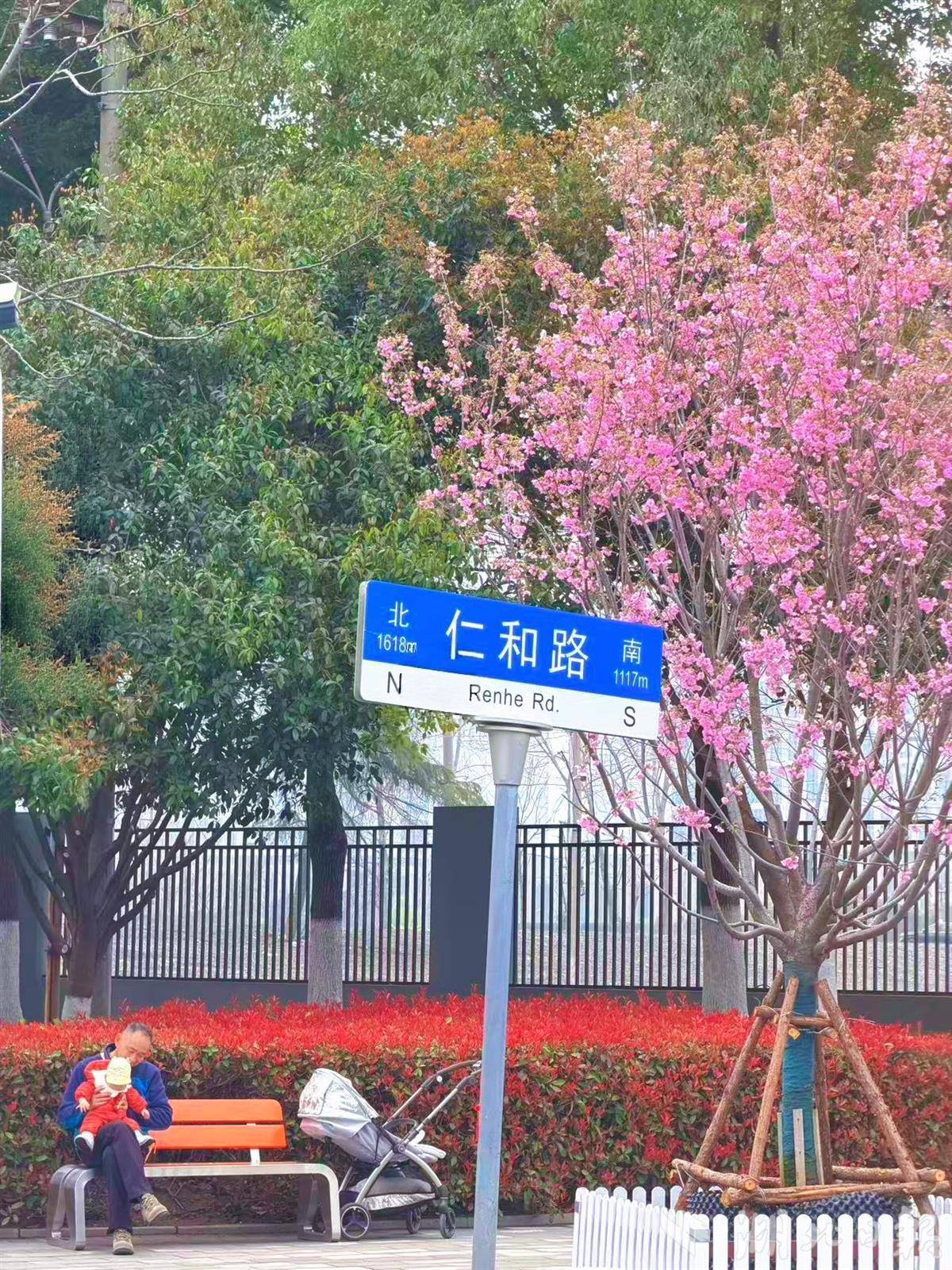 樱花造型！两座3D打印厕所即将亮相汉马赛道(图2)