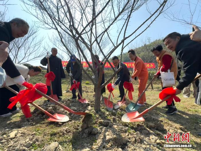 春来盼新绿：两岸同胞浙江湖州共植“同心林”