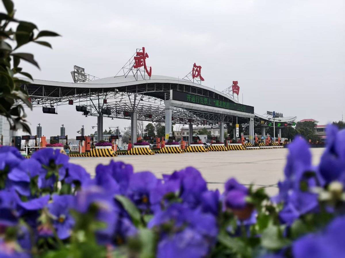 风吹麦浪、繁花似锦，武汉“西大门”换上新装