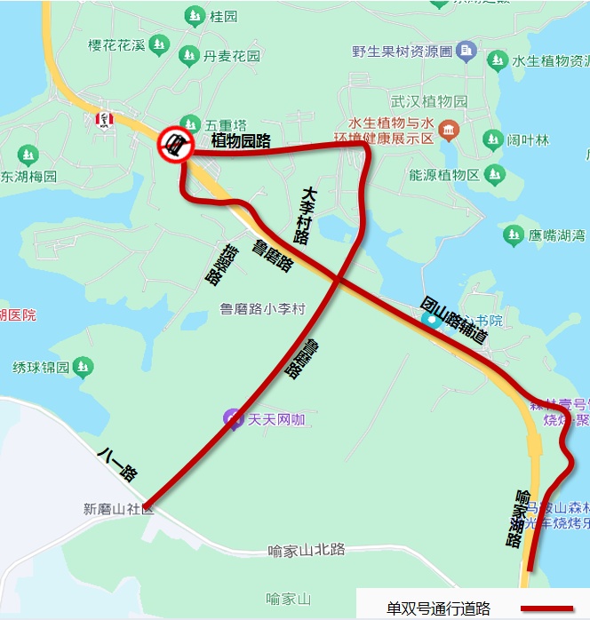 赏花踏青高峰来临，东湖风景区部分道路将实行交通管制