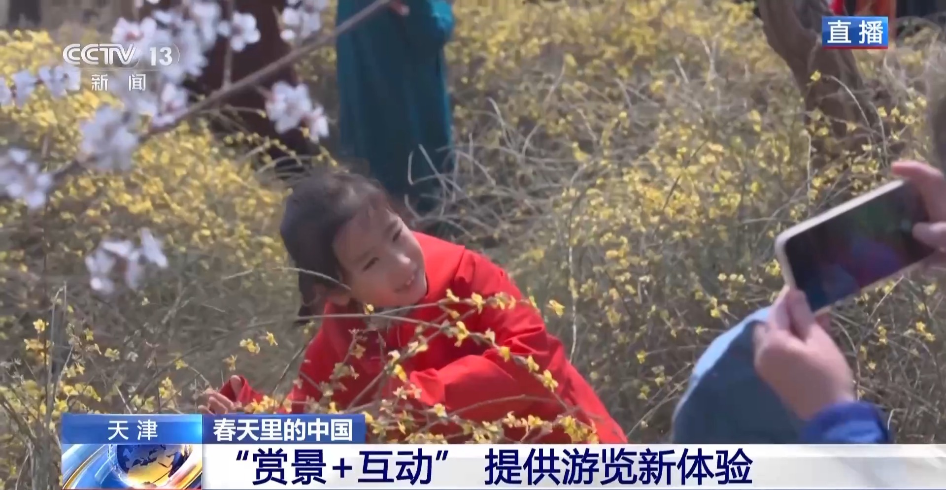 桃花、杏花、樱花竞相绽放 一起走进春天里的中国