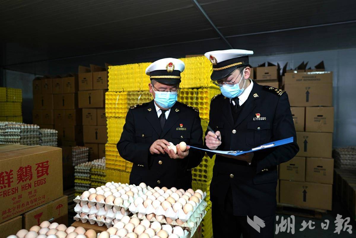  荆楚禽蛋出口热卖   远销德国、新加坡、阿联酋等20多个国家和地区