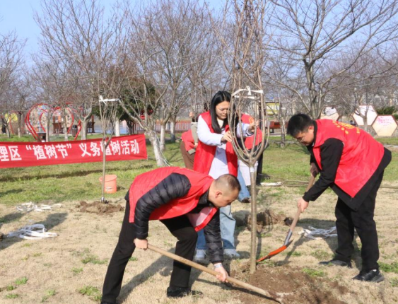  春日植树添新绿，江陵县六合垸樱花谷再披“新装”