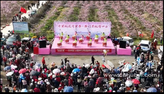 京山市雁门口镇长岗村黄桃赏花惠民活动举行