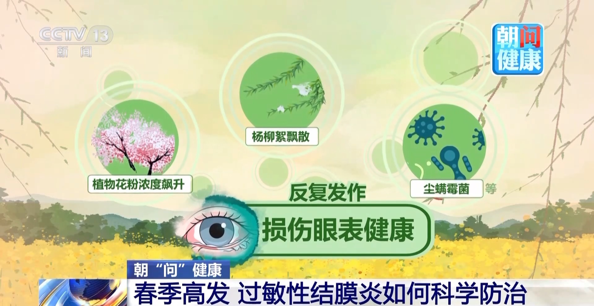  朝“问”健康丨眼痒眼红别乱揉 春季过敏性结膜炎高发 专家支招