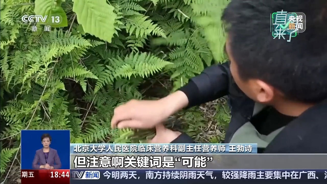 真相来了丨“某些蔬菜致癌”系谣言 隔夜菜、腌制菜才真的要少吃