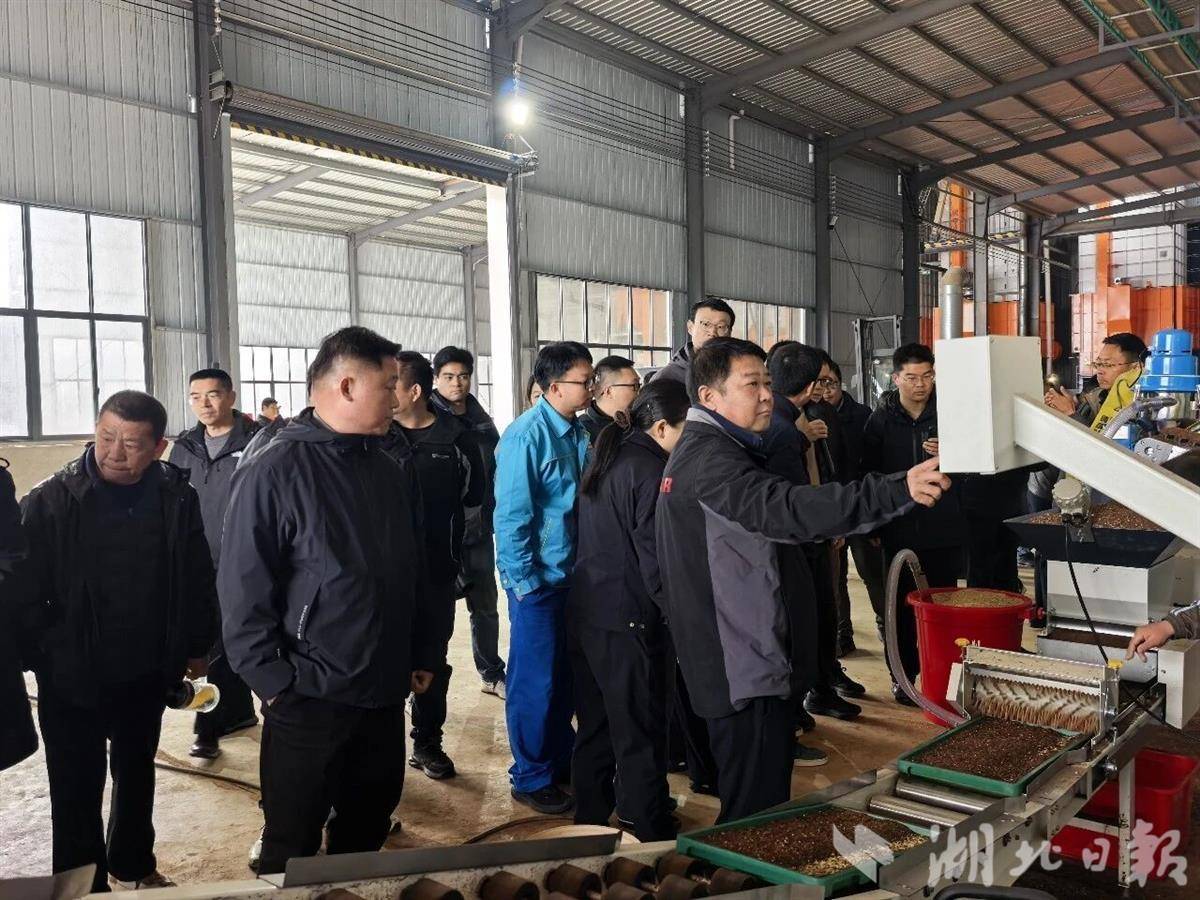 把“厂房”搬到“田地”，全程机械化！武汉早稻育秧尽显“科技范”