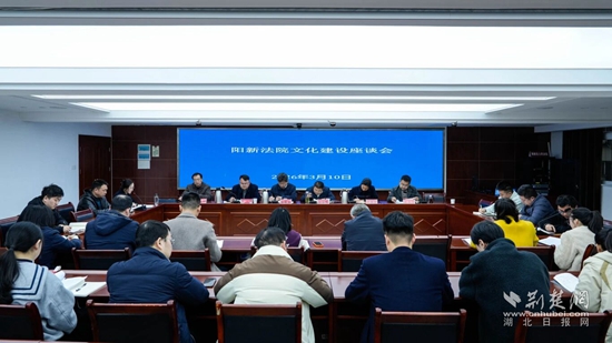 “青”听“新”声！阳新法院召开文化建设座谈会