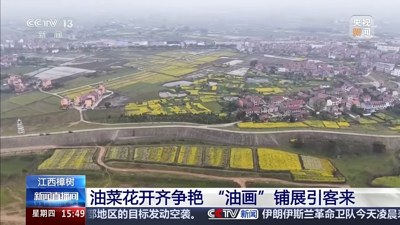  多达80种花色 油菜花也被玩出了“新花样”