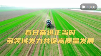 新华视点｜春日奋进正当时 多领域发力共促高质量发展