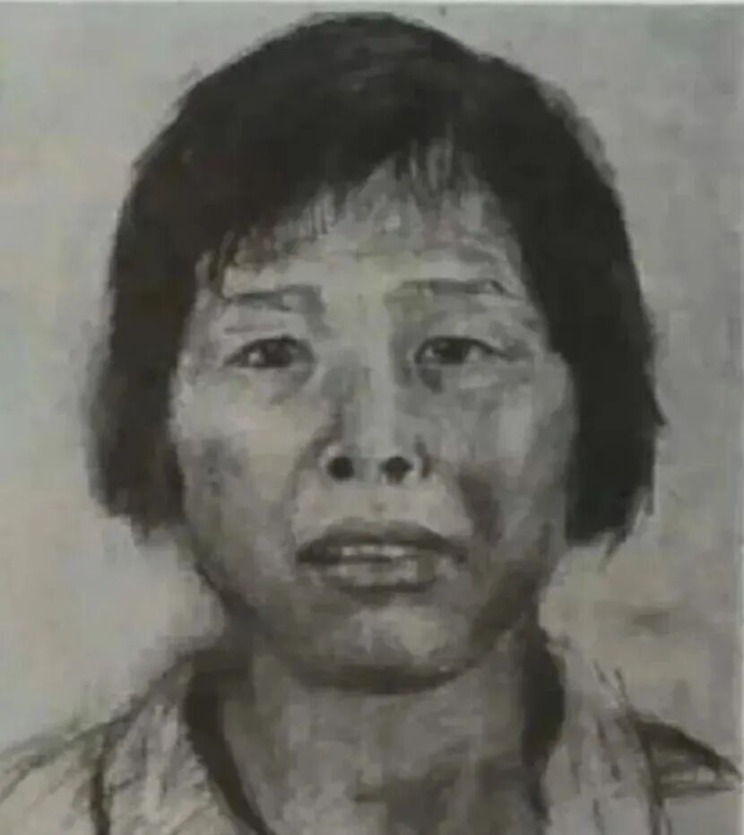  人贩子“梅姨”落网，为何多年难抓捕？