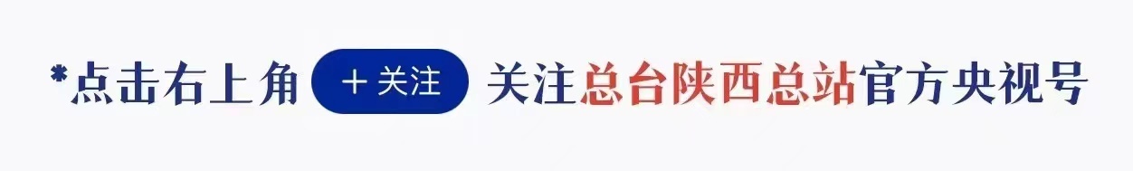 秦岭南五台四百年白玉兰正值花期 全景无人机沉浸式拍摄高光时刻