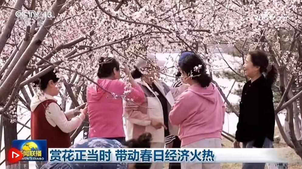  赏花正当时 带动春日经济火热