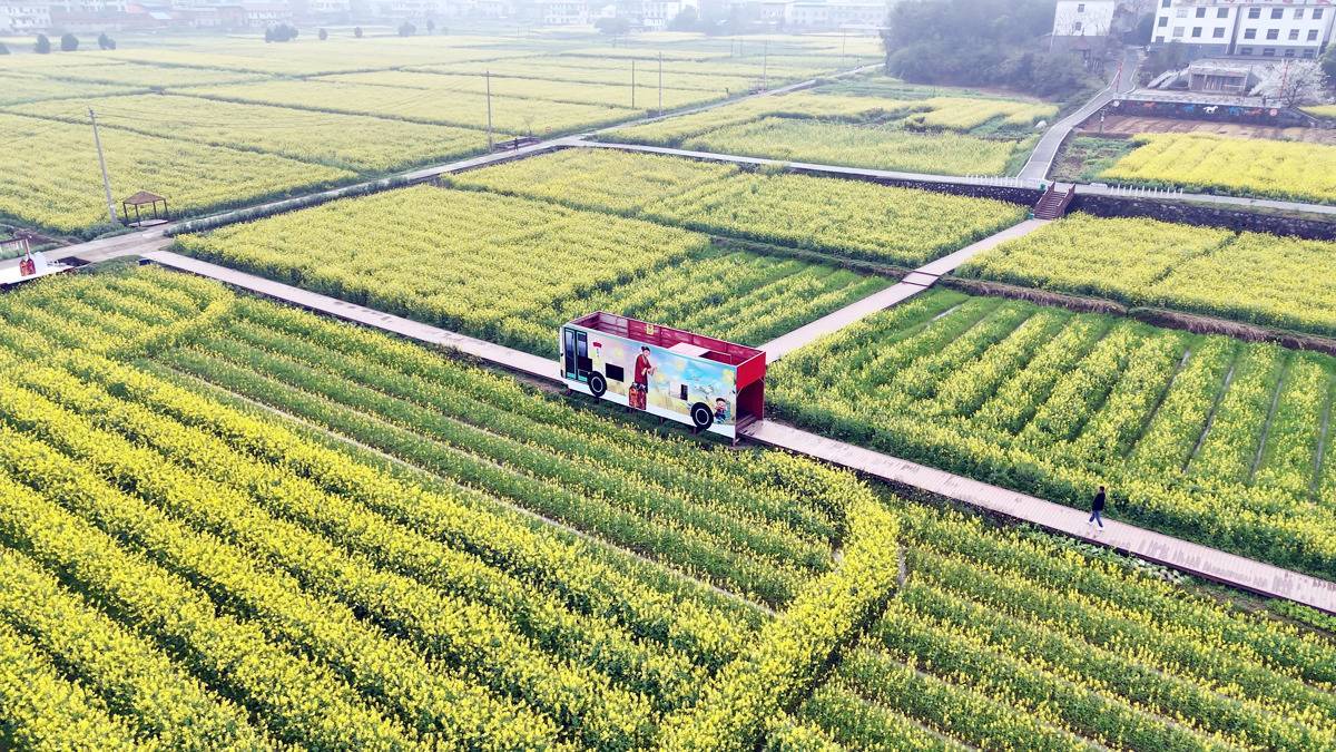 咸安路通大幕山野樱花 百公里赏花走廊冒出200多个农家乐