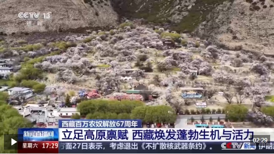 视频丨从“百万农奴解放”到“和美乡村” 西藏焕发蓬勃生机与活力