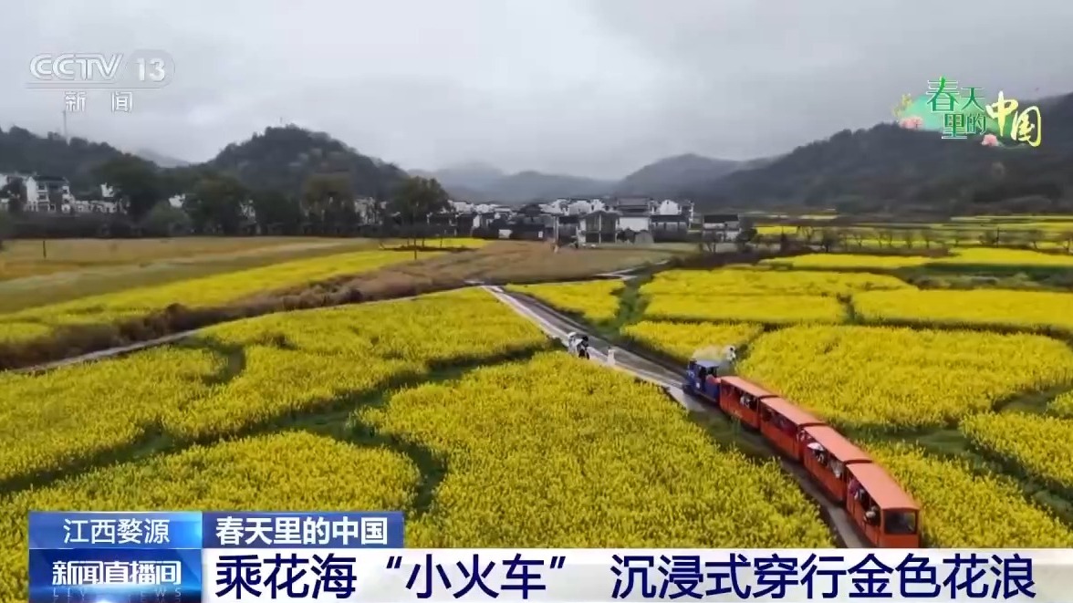 视频丨“村游”玩法新升级 赏花经济激发古村旅游产业活力