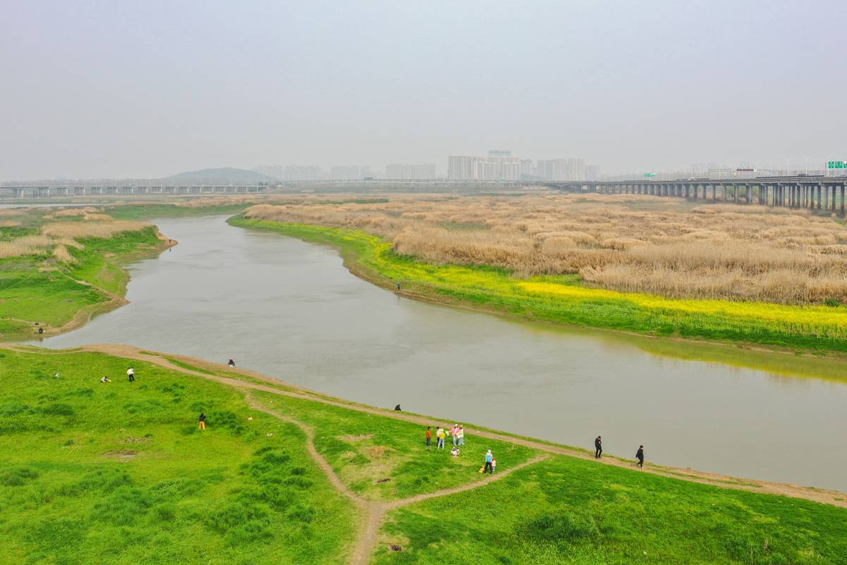 府河两岸铺绿毯 踏青寻春正当时