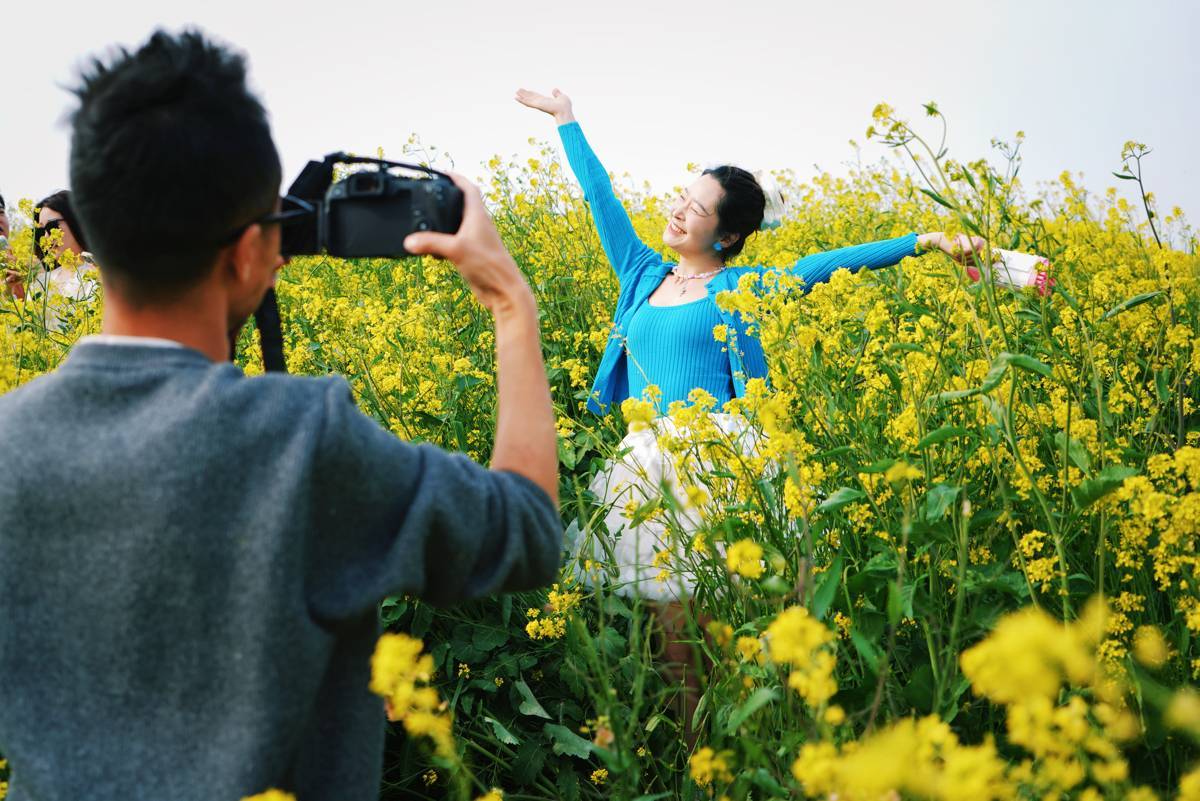 襄阳七彩花田盛放！如画春色引客来