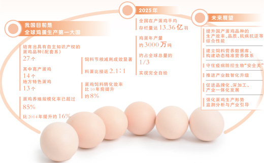 从鸡舍到餐桌，一枚让人放心的鸡蛋要经过几道关？