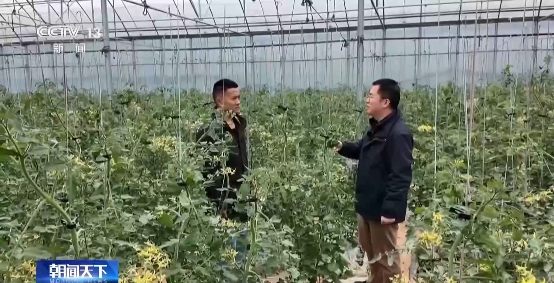 一起听懂地的话 “春耕合伙人”新模式带来新变化