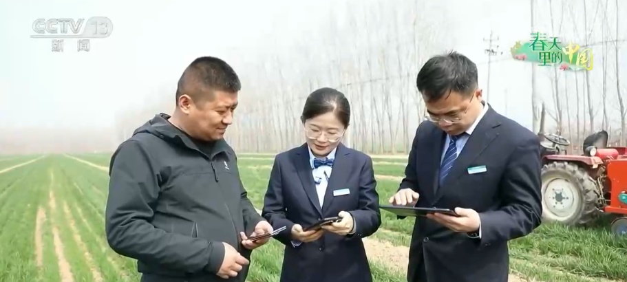  “科技提质增效+金融活水滴灌”为夏粮稳产丰收筑牢基础
