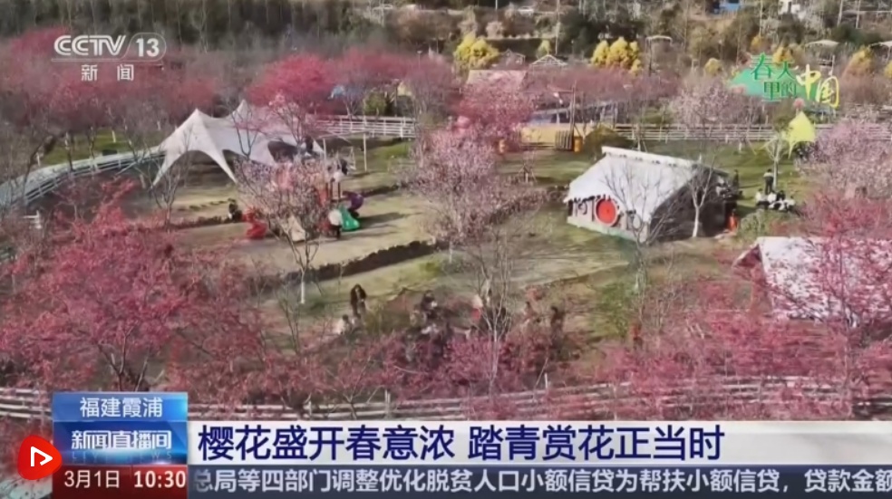 去踏青、共赏花，春意正浓！““春日经济”蓬勃绽放