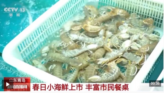  视频丨多样“春日味道”抢鲜上市 你最想尝哪一种？