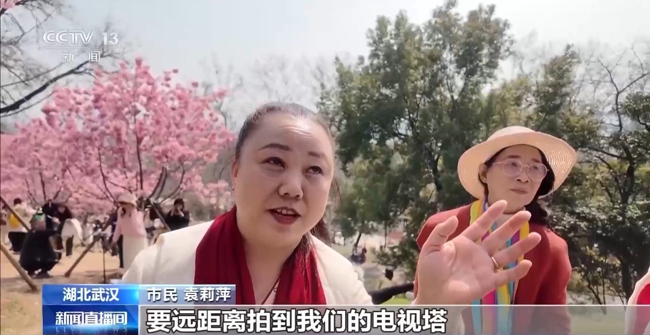  别错过各地春日花海已上线